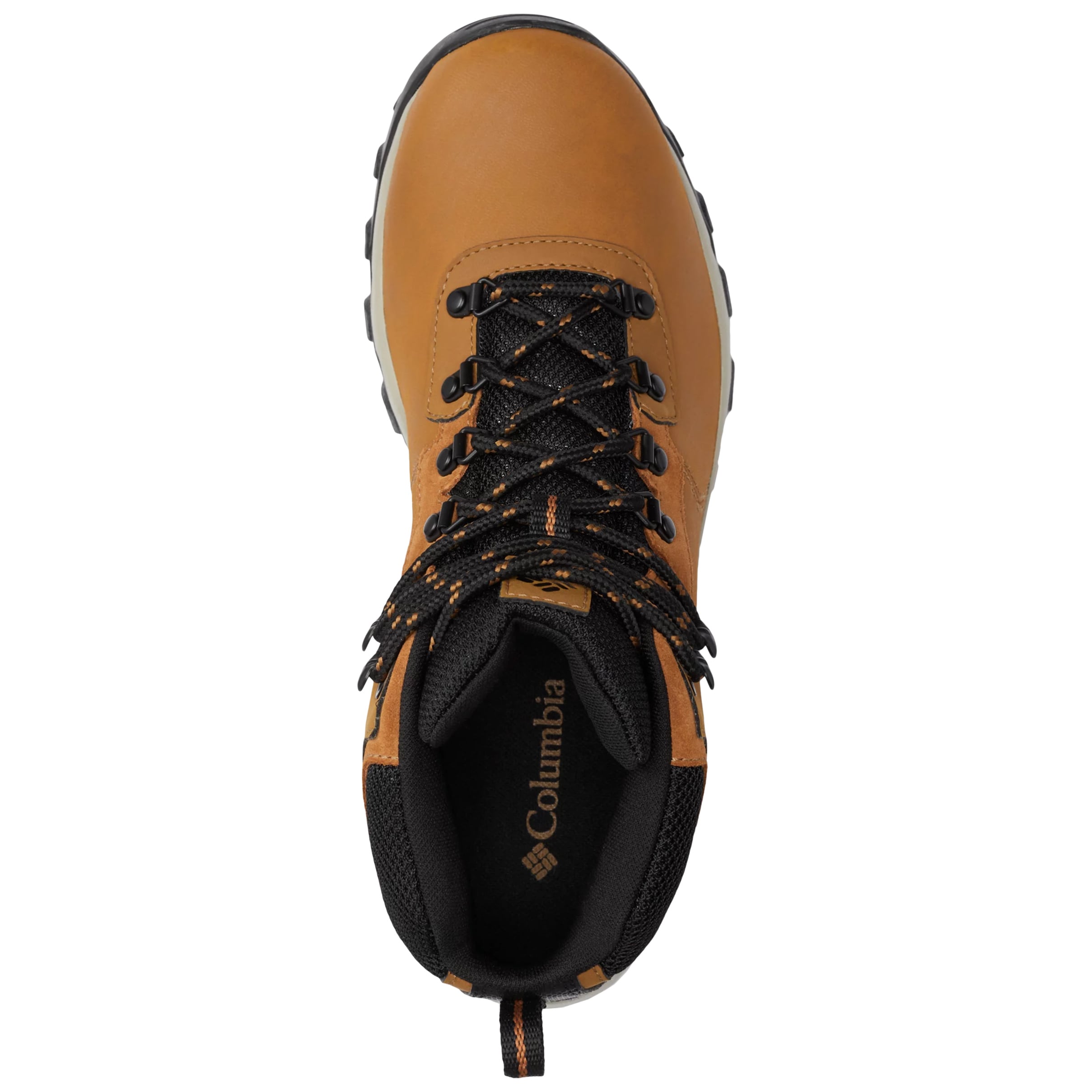 Buty Columbia Newton Ridge Plus WP II - Elk/Black