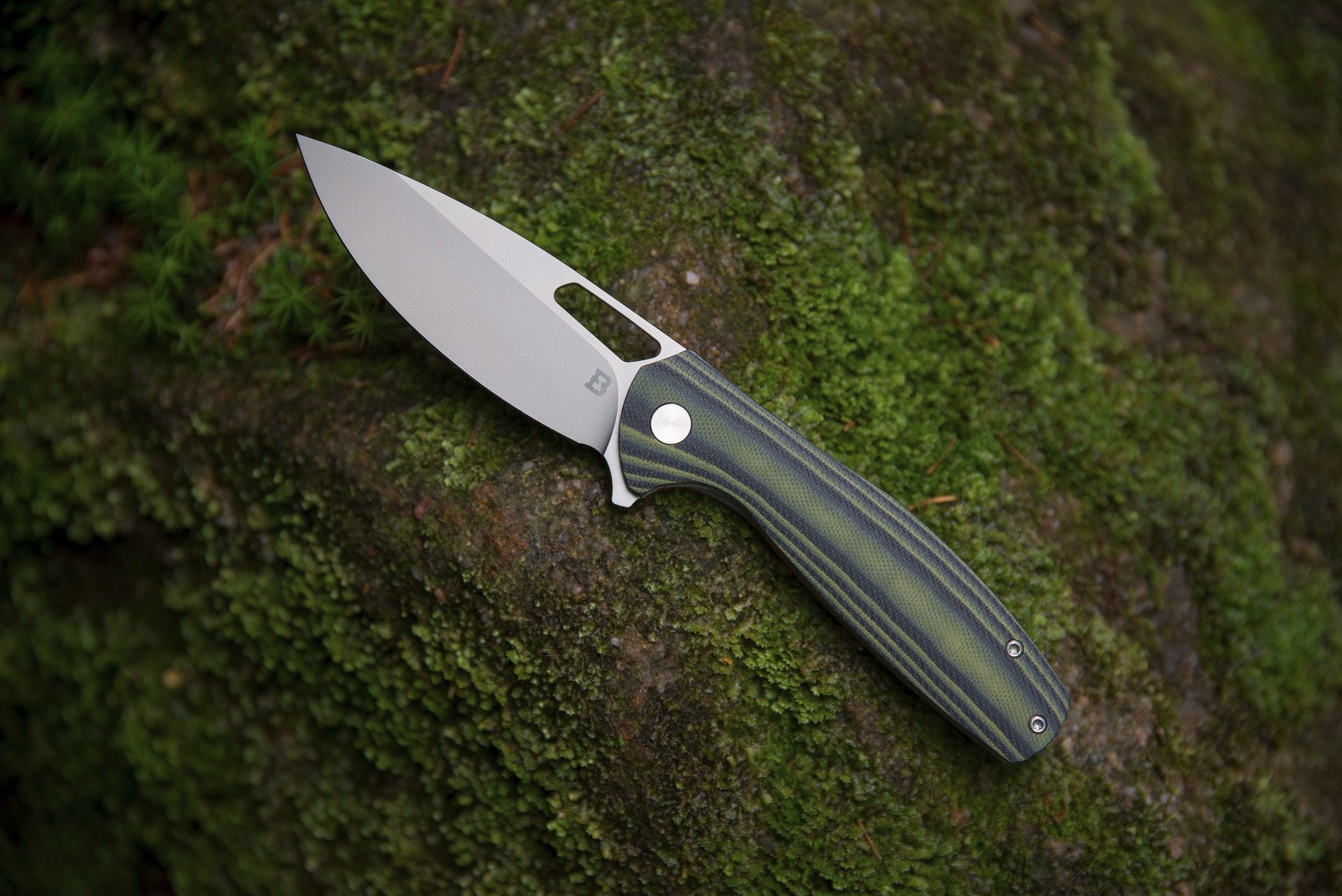 Badger Outdoor D2 Gecko Folding Knife