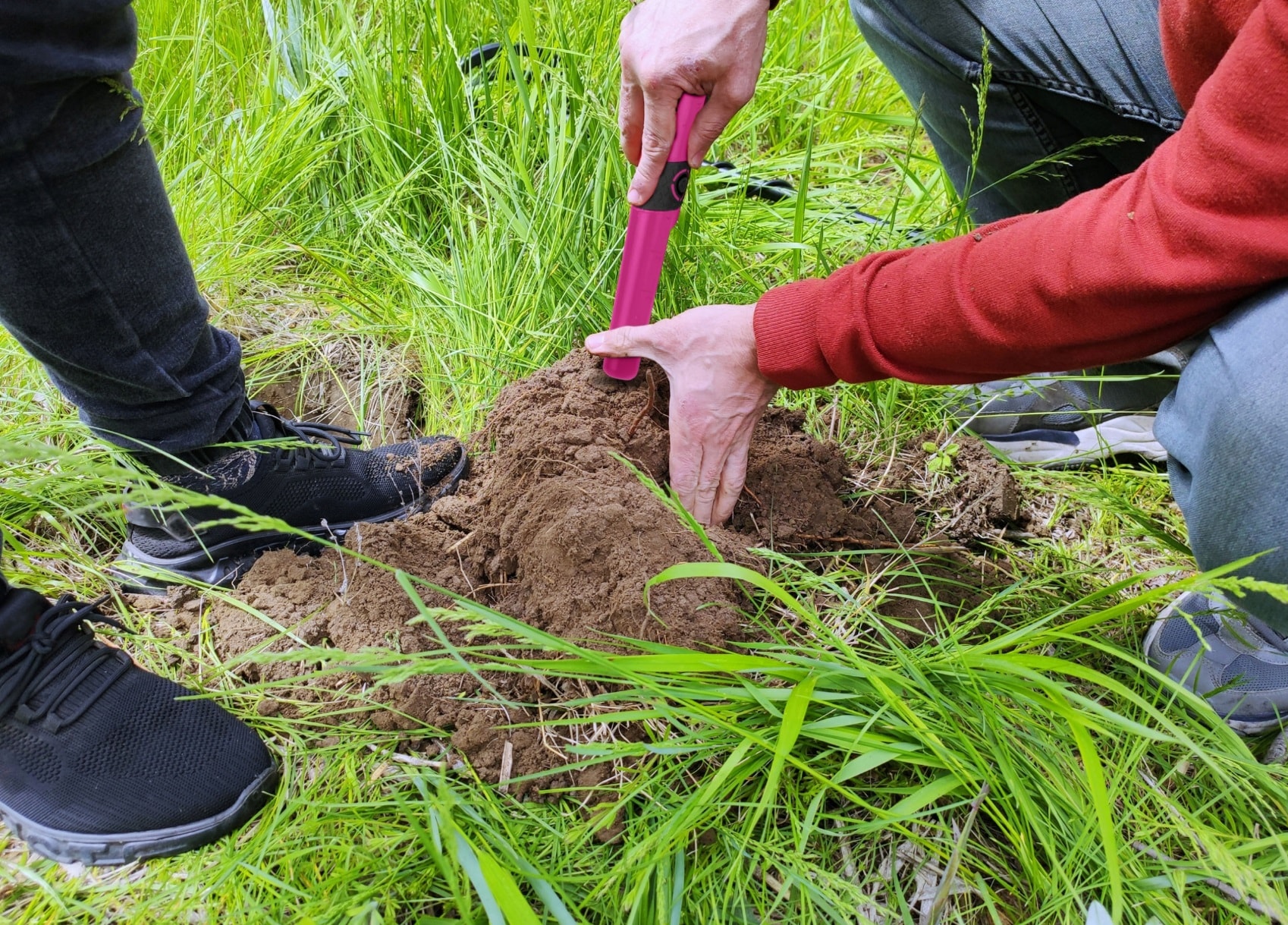 Ręczny wykrywacz metali Cobra Tector CT-1079 - Pink