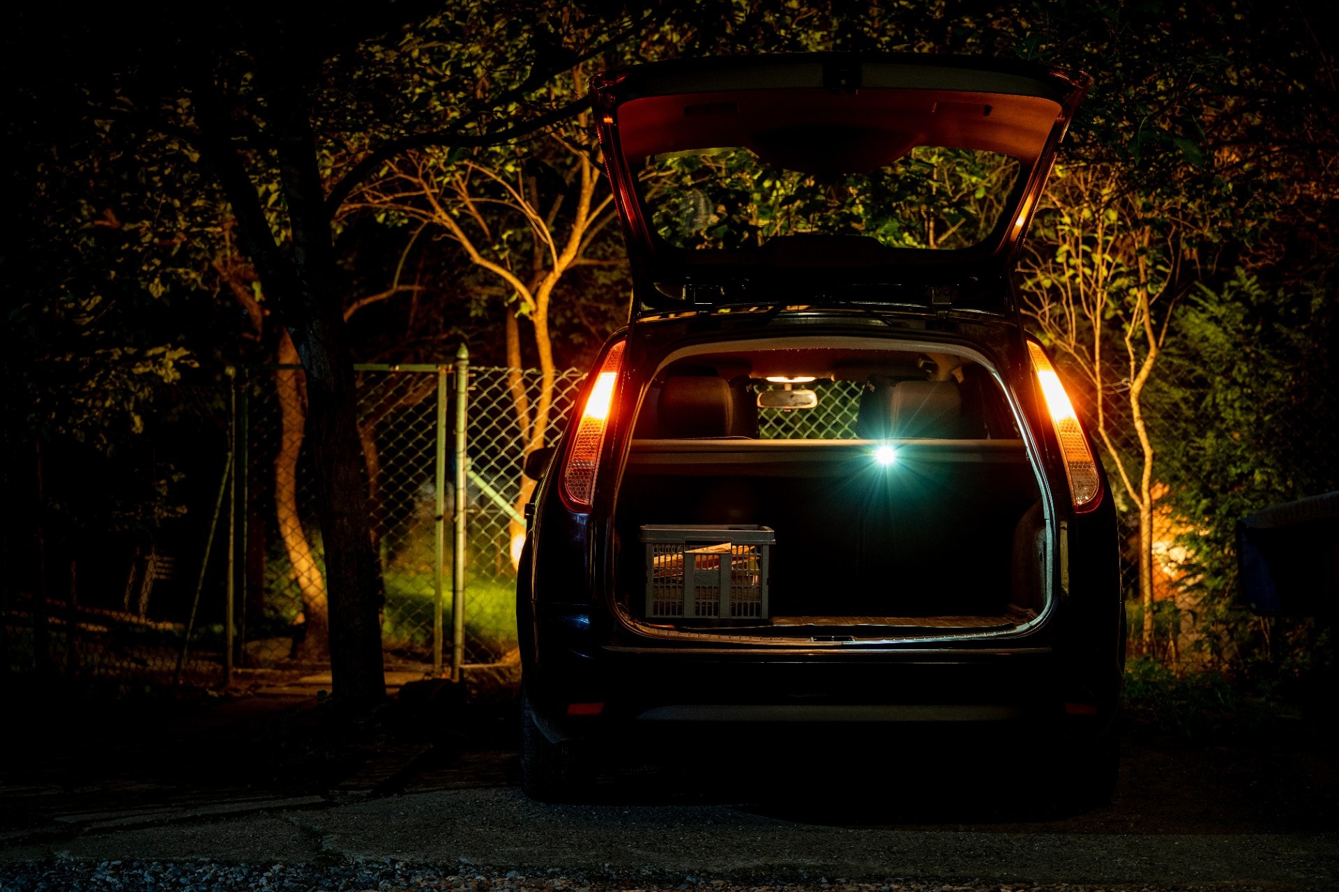 Акумуляторний ліхтарик Olight Oclip Pro Fortune Snake Special Edition - 500 люменів