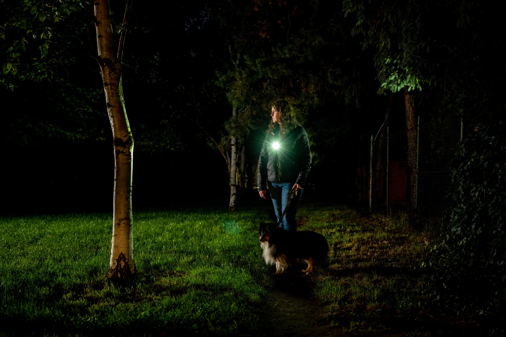 Latarka akumulatorowa Olight Oclip Pro Fortune Snake Special Edition - 500 lumenów