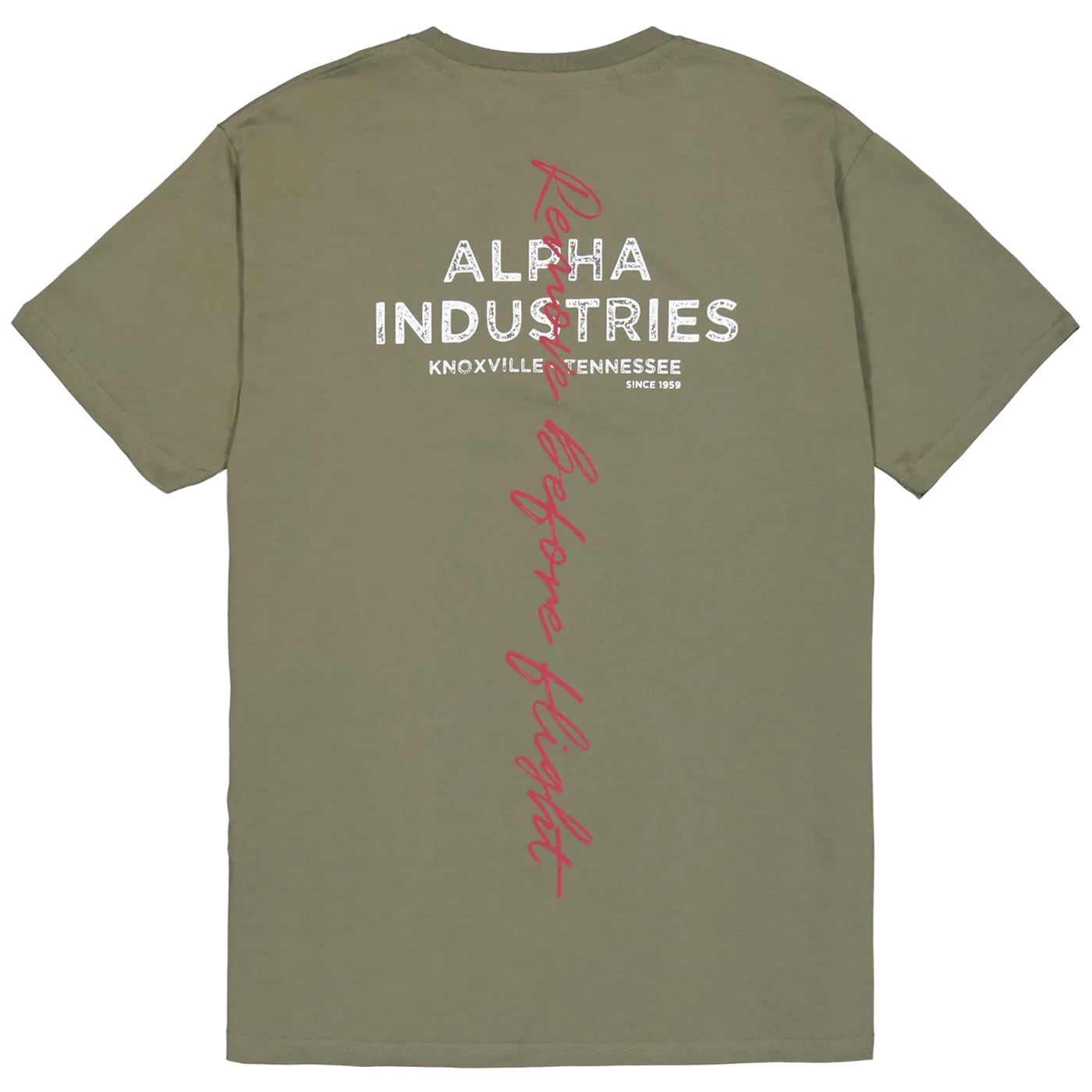 Koszulka T-shirt Alpha Industries Signature Back Print - Sage Green