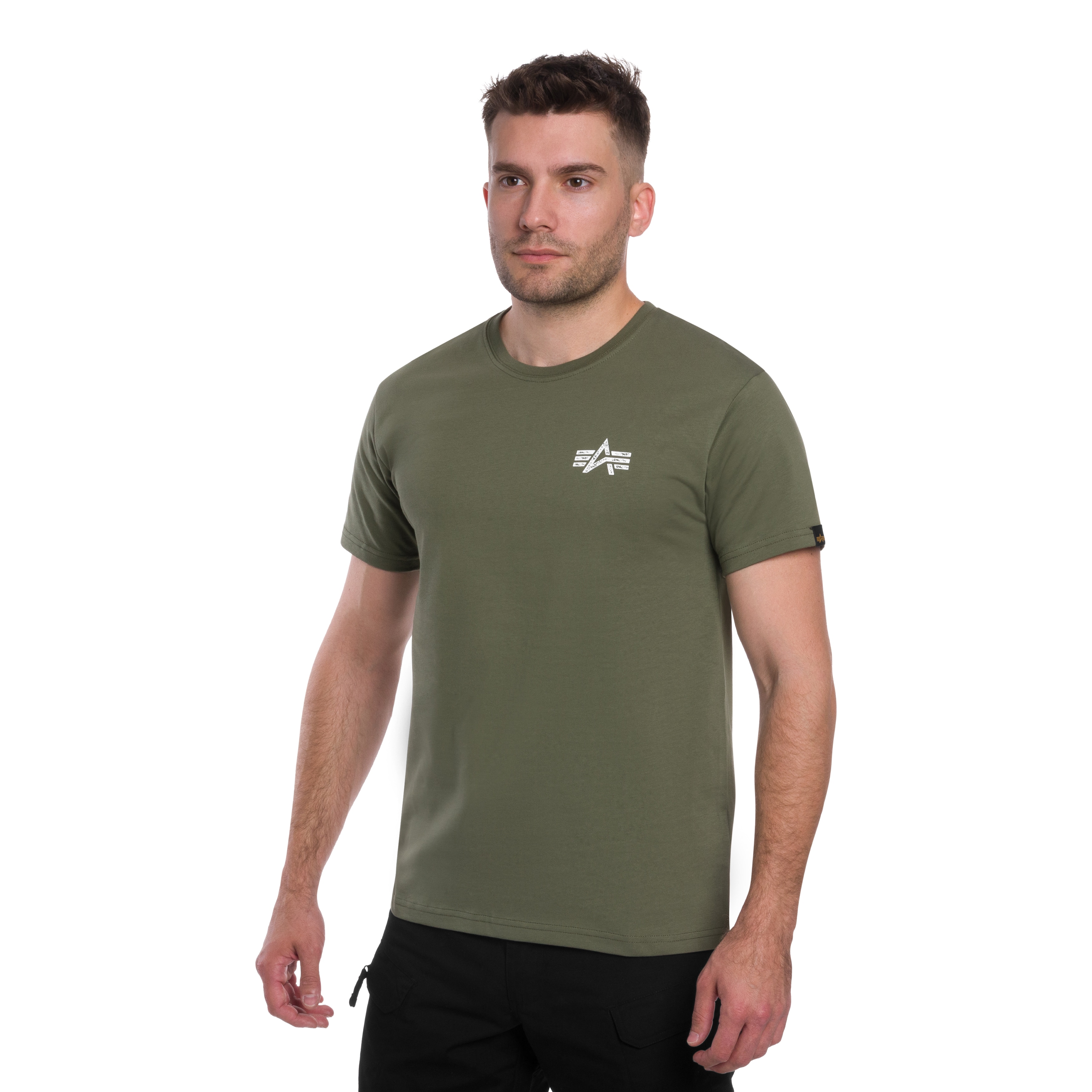 Koszulka T-shirt Alpha Industries Signature Back Print - Sage Green