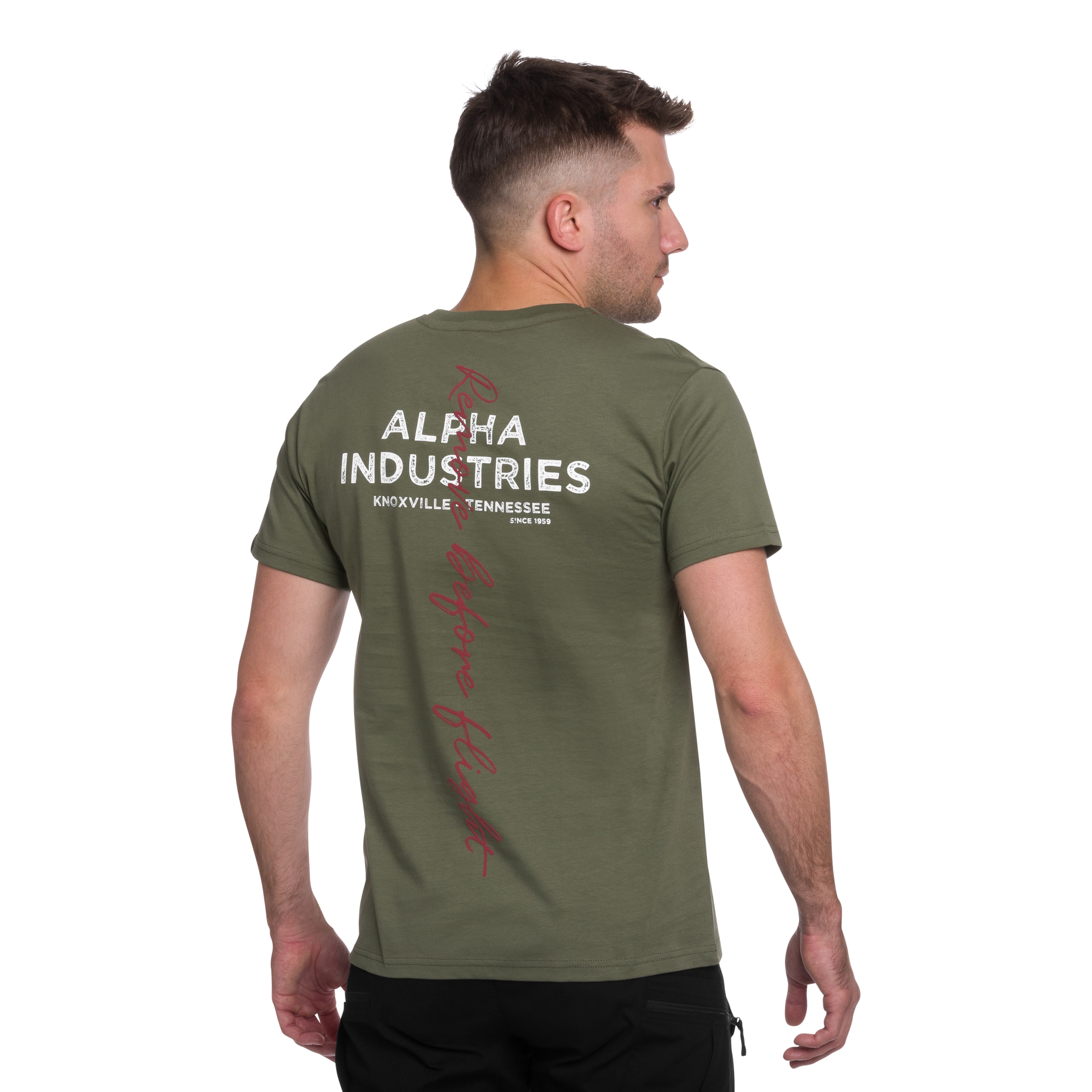 Koszulka T-shirt Alpha Industries Signature Back Print - Sage Green