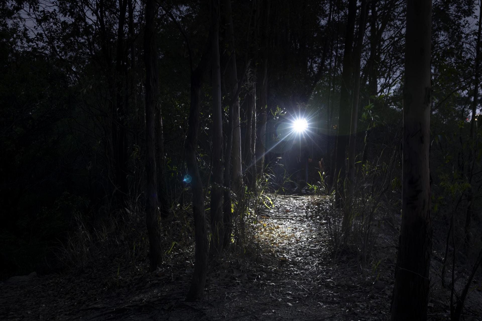 Акумуляторний ліхтарик Olight Oclip Pro Purple - 500 люменів