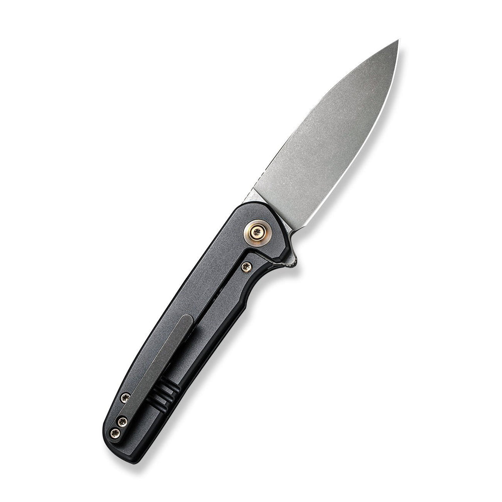 Складаний ніж WE Knife Shakan Titanium - Black