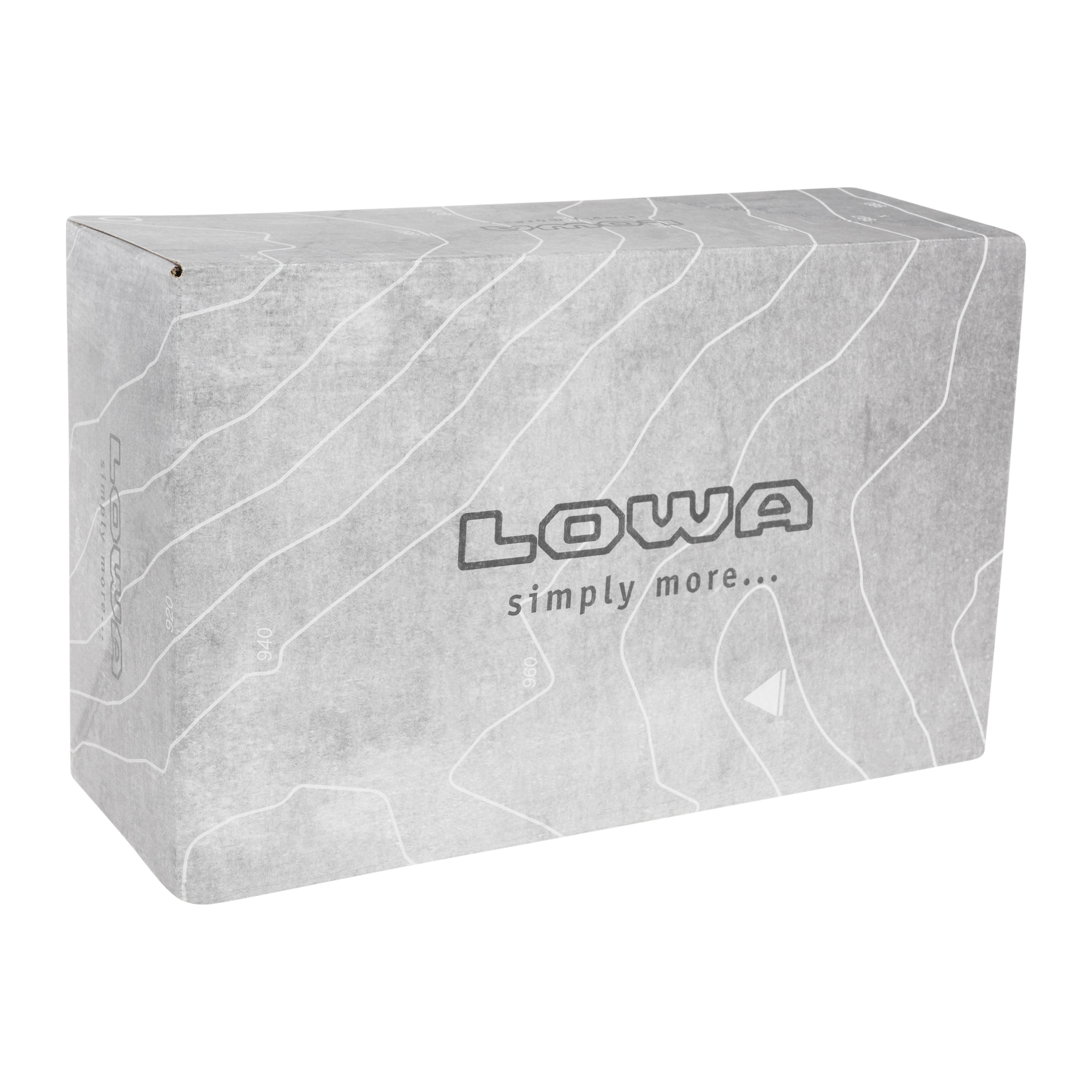 Жіночі черевики Lowa Renegade EVO GTX LOW - Black/Black
