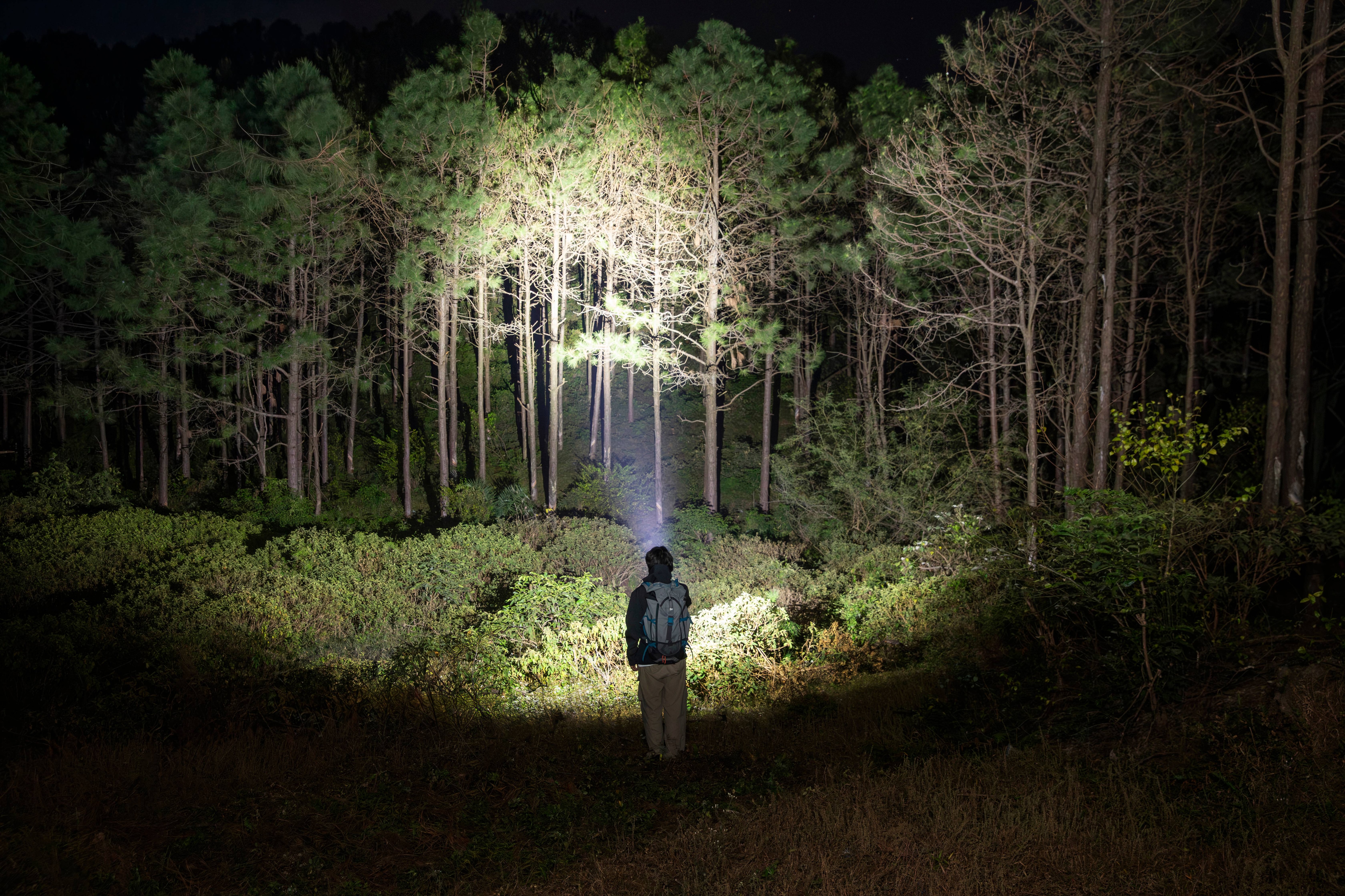 Latarka Olight Baton Ultra Olive Green - 1800 lumenów