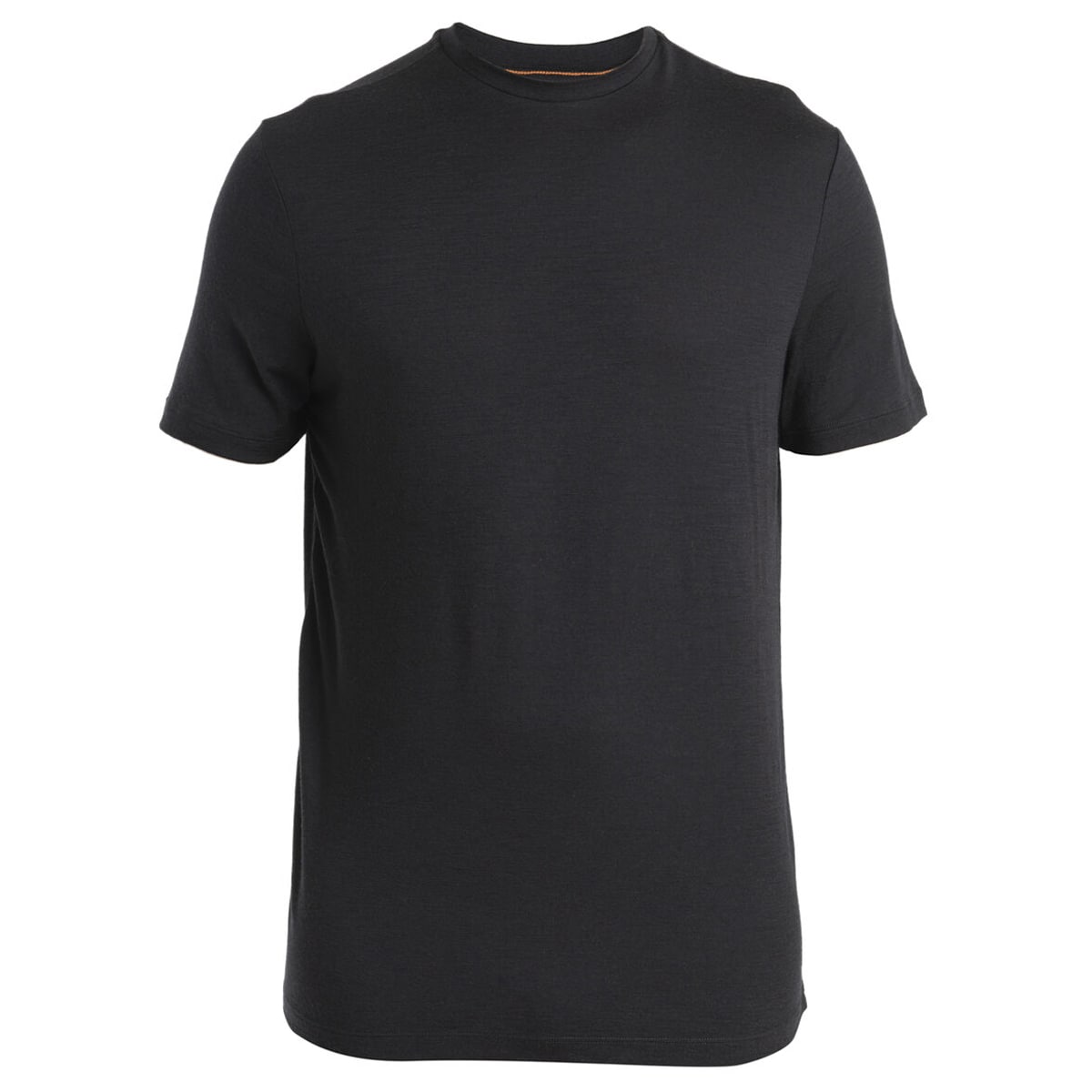 Футболка T-Shirt Icebreaker Merino 150 Tech Lite III SS Tee - Black