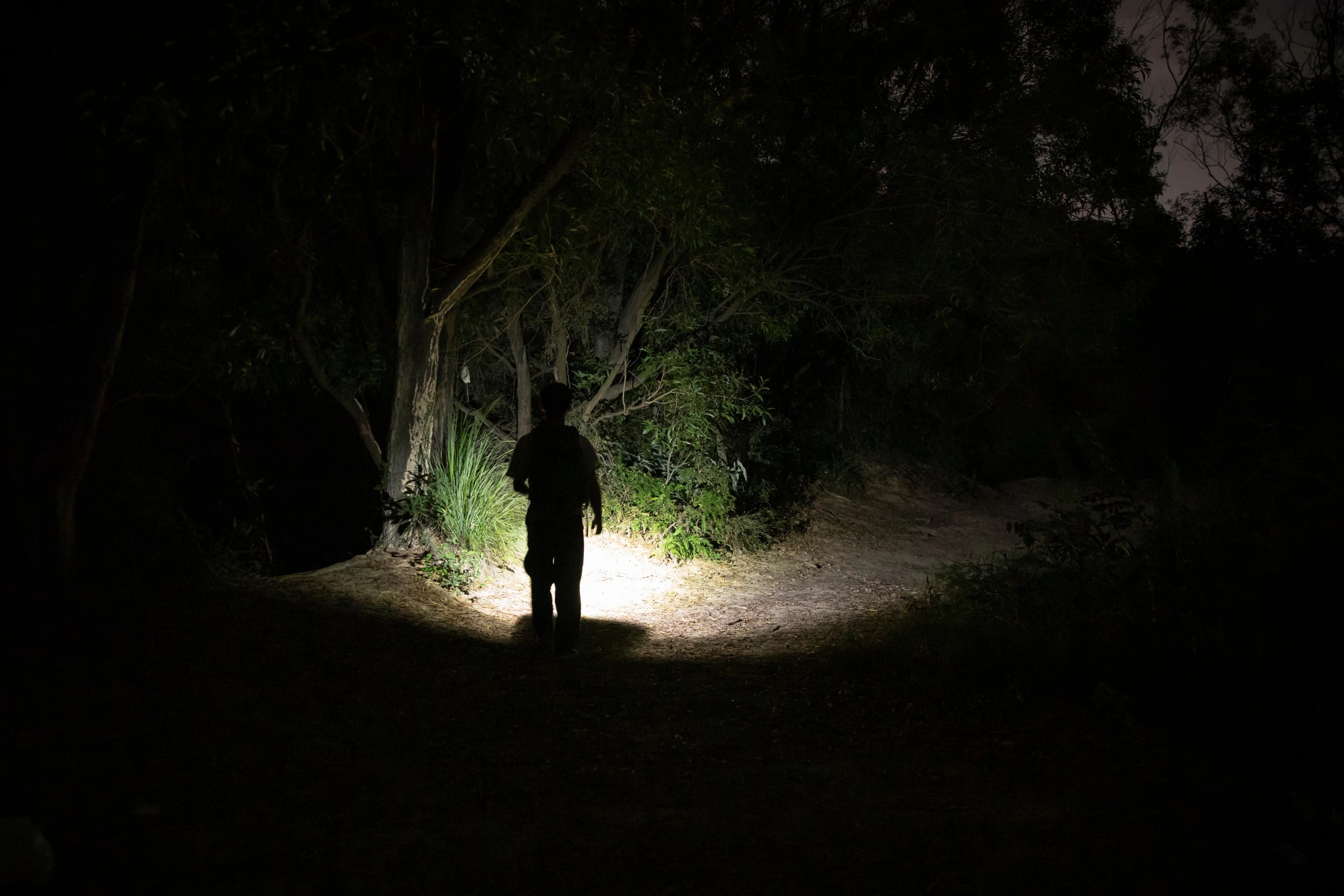 Latarka akumulatorowa Olight Baton 4 Blue Phantom - 1300 lumenów