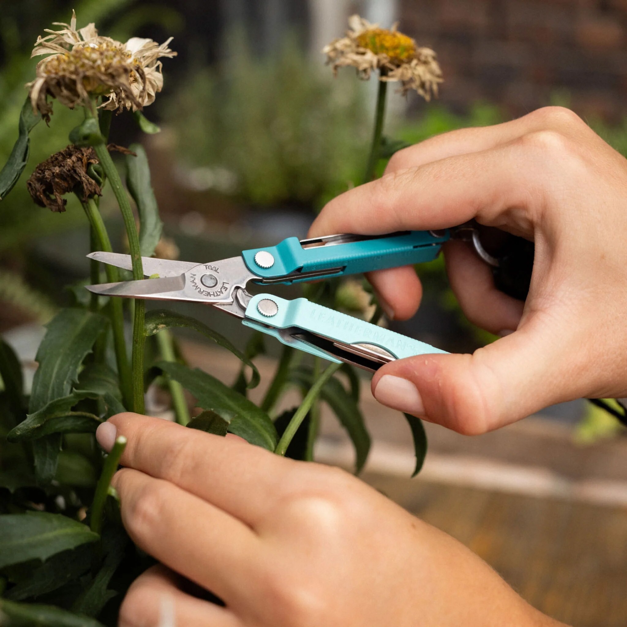 Multitool Leatherman Micra - Parakeet