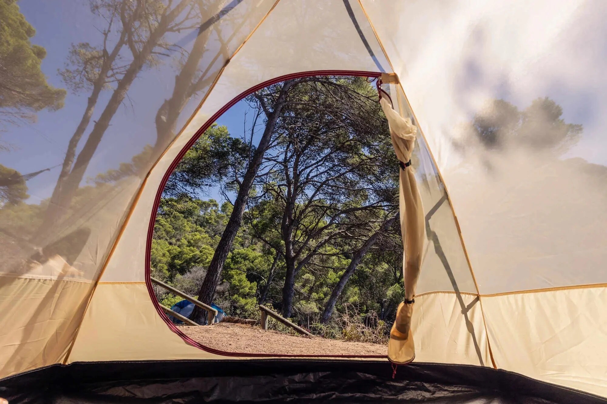 Namiot 3-osobowy Coleman Darwin Summer 3