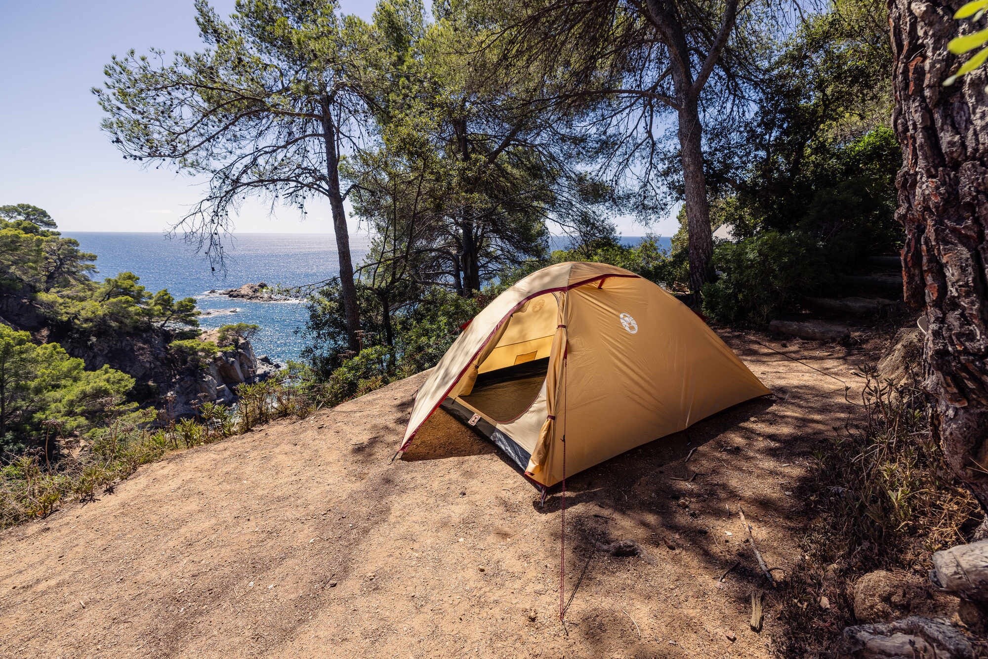 Namiot 3-osobowy Coleman Darwin Summer 3