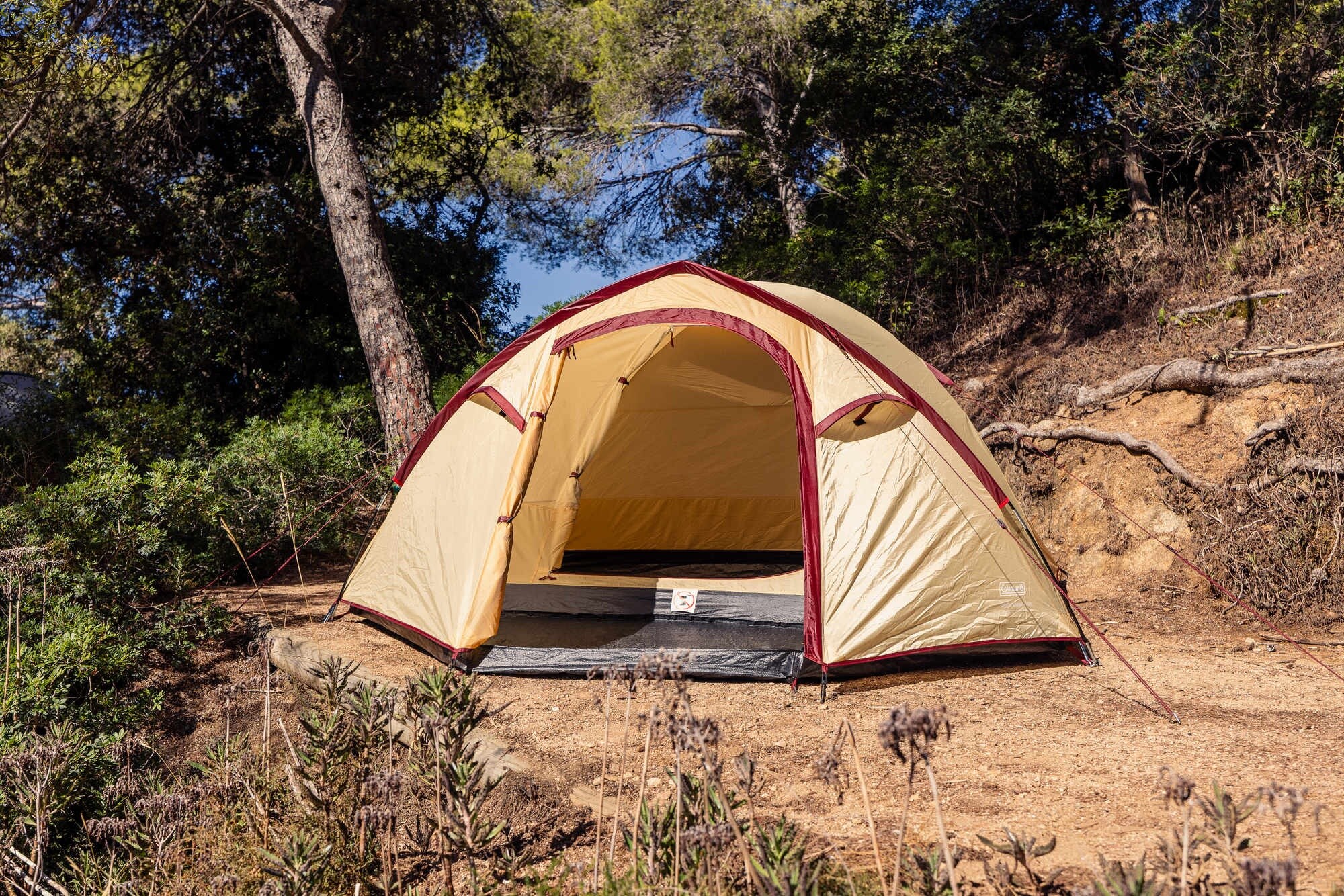 Namiot 4-osobowy Coleman Darwin Summer 4 Plus