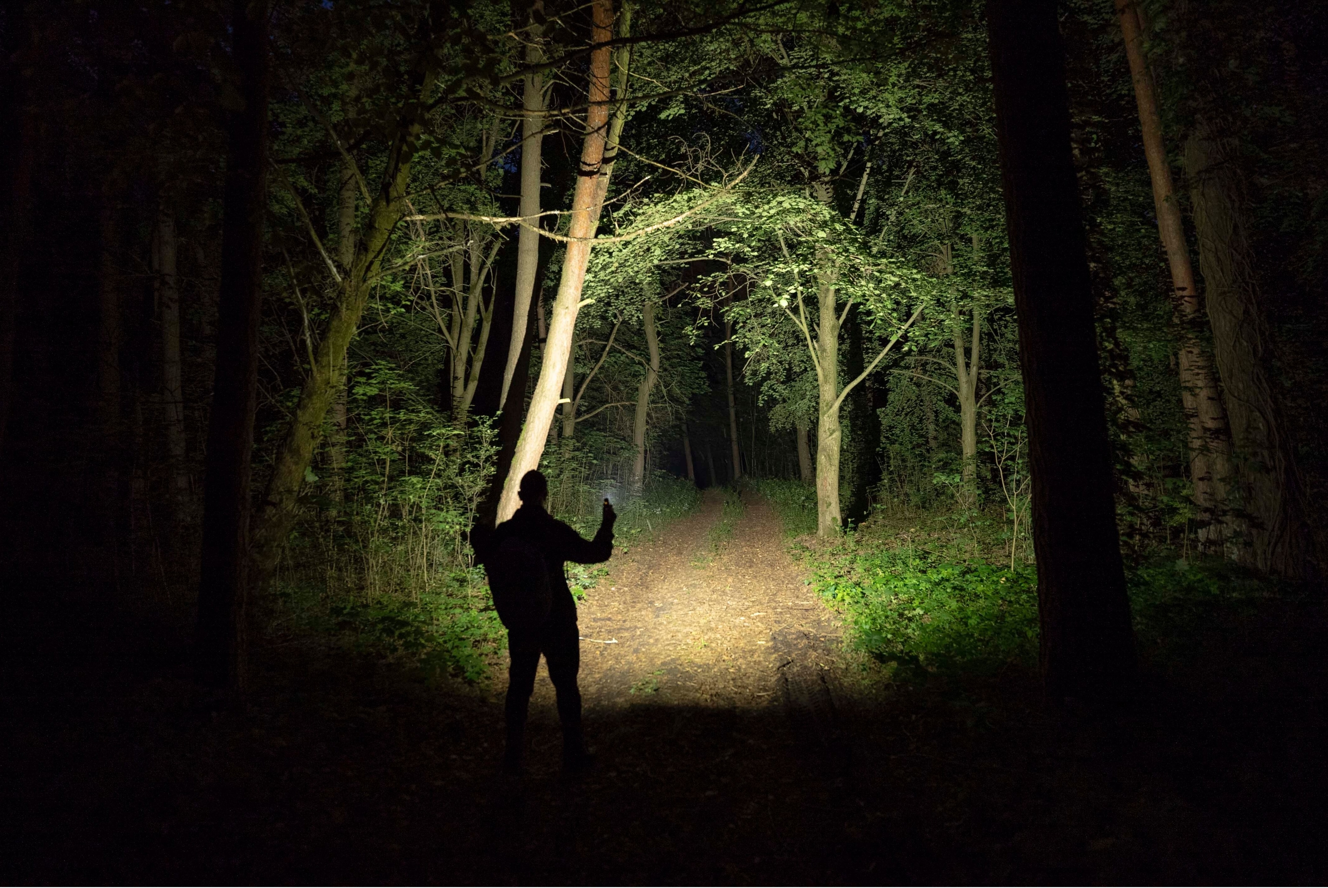 Latarka czołowa i kątowa Armytek Elf C2 Max USB-C White - 4500 lumenów