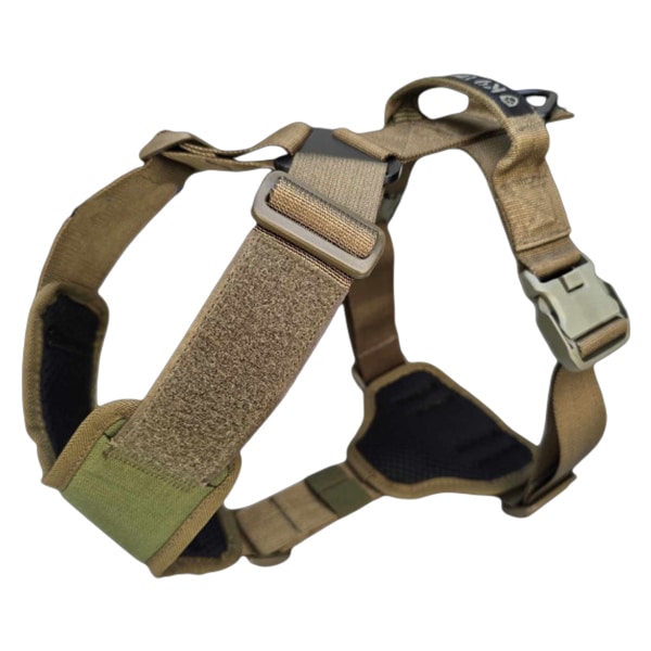 Szelki dla psa K9 Thorn Charlie - Olive