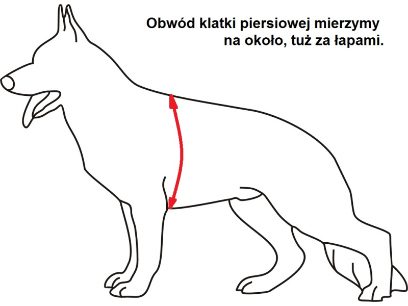 Szelki dla psa K9 Thorn Charlie - Black