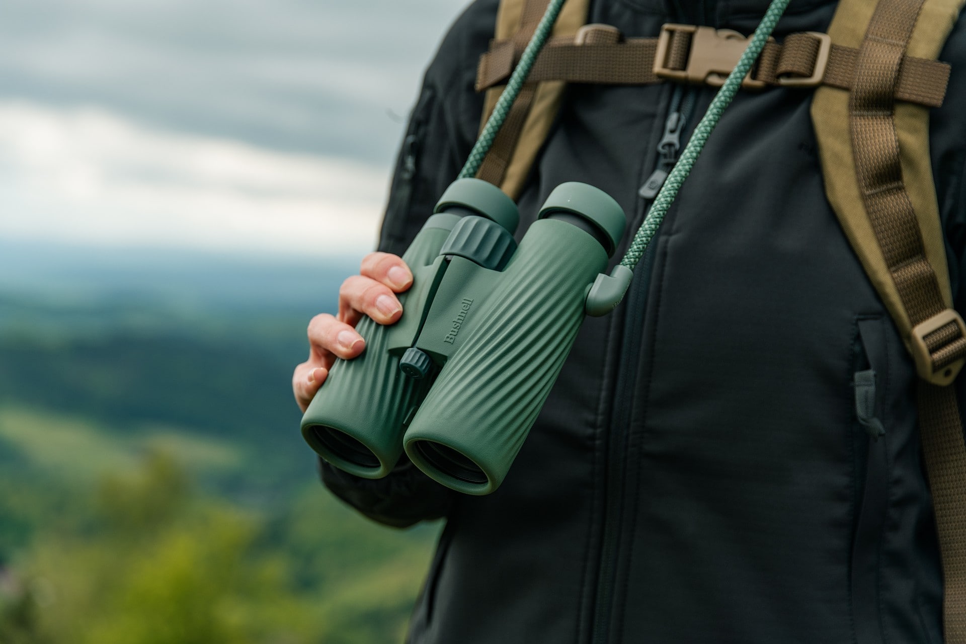 Bushnell A5 Full-Size 8x42 Binoculars - Cilantro Green