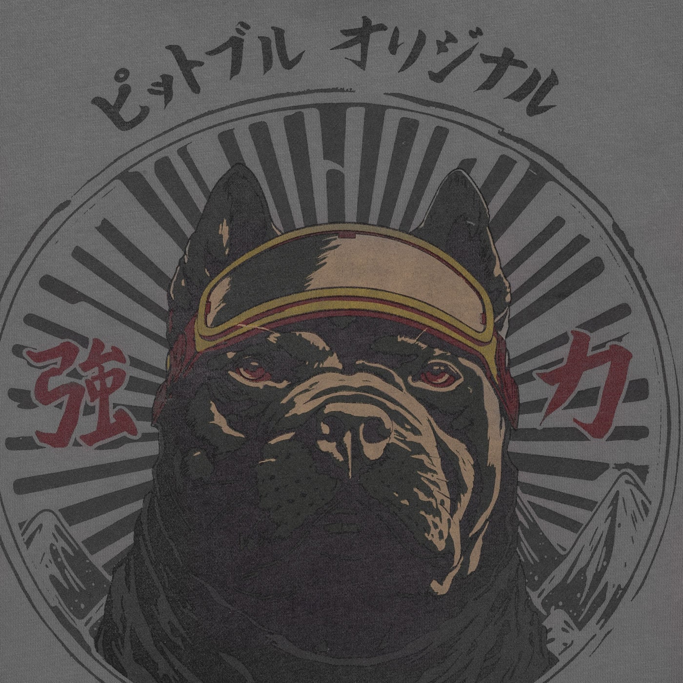 Bluza Pitbull Washed MT Fuji Hooded - Grey