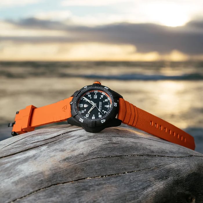 Zegarek ProTek PT1004O