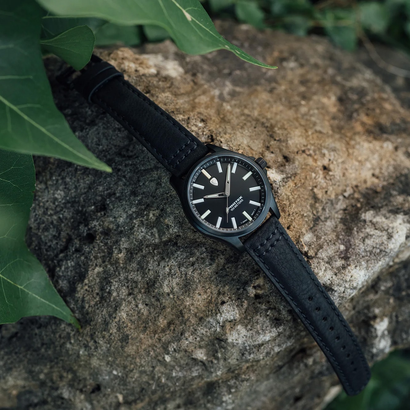 Zegarek ProTek PT3002 Titanium