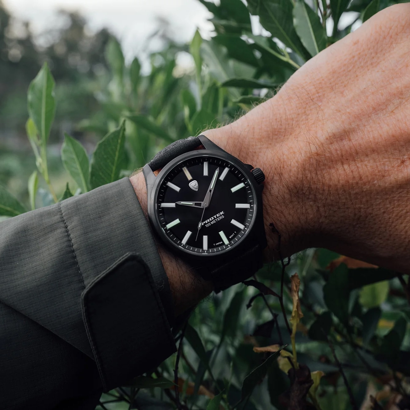 Zegarek ProTek PT3002 Titanium