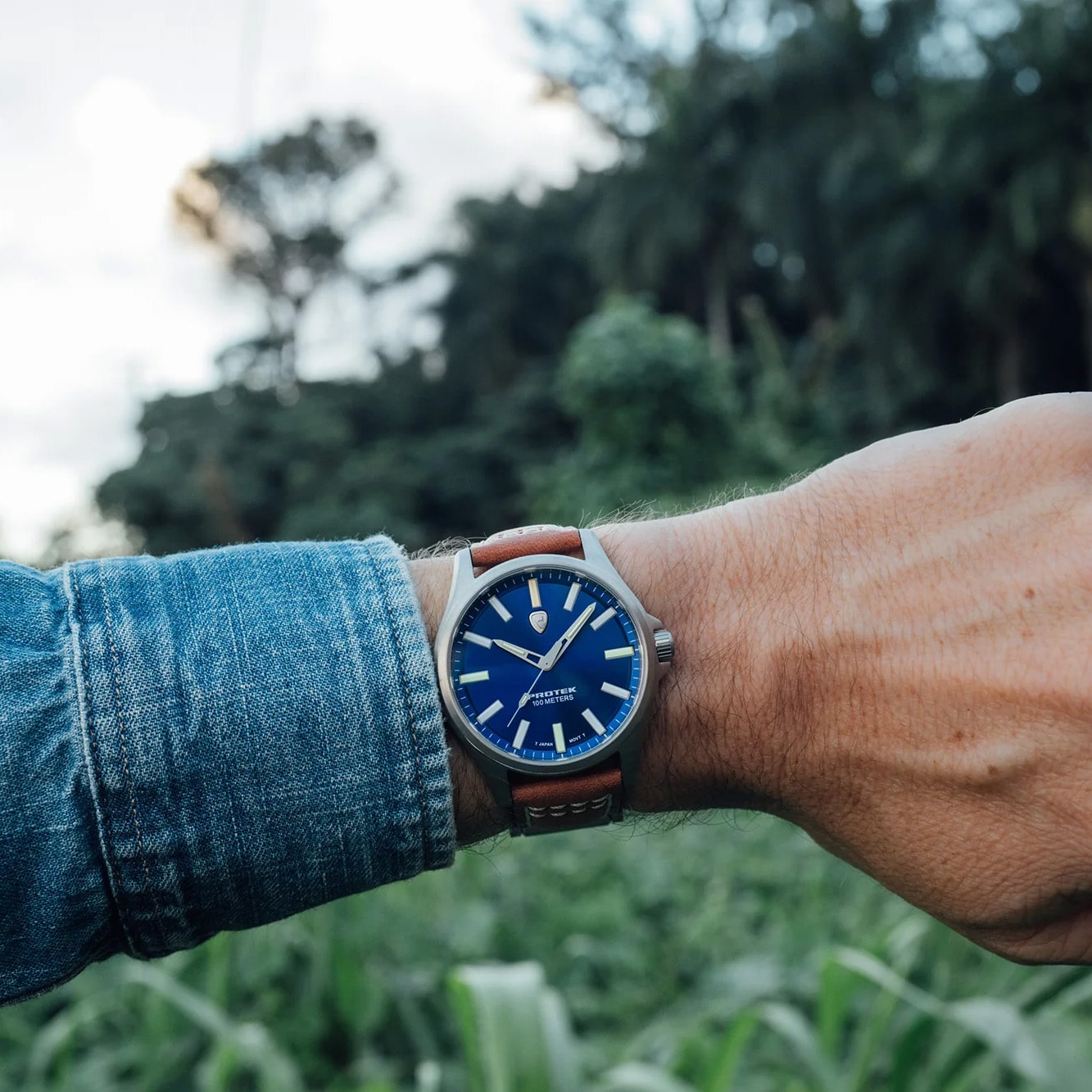 Zegarek ProTek PT3003 Titanium