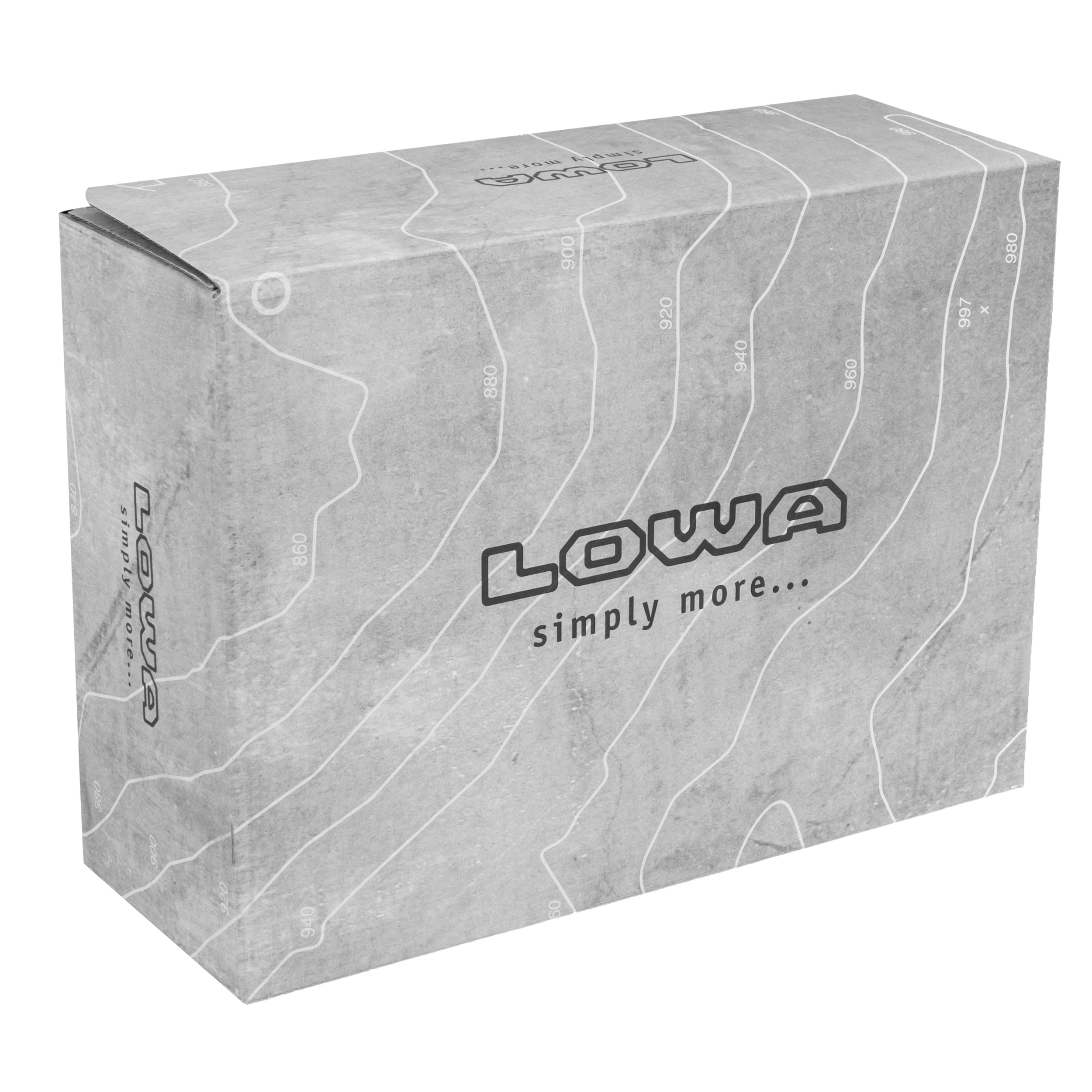 Buty damskie Lowa Renegade EVO GTX MID - Sage