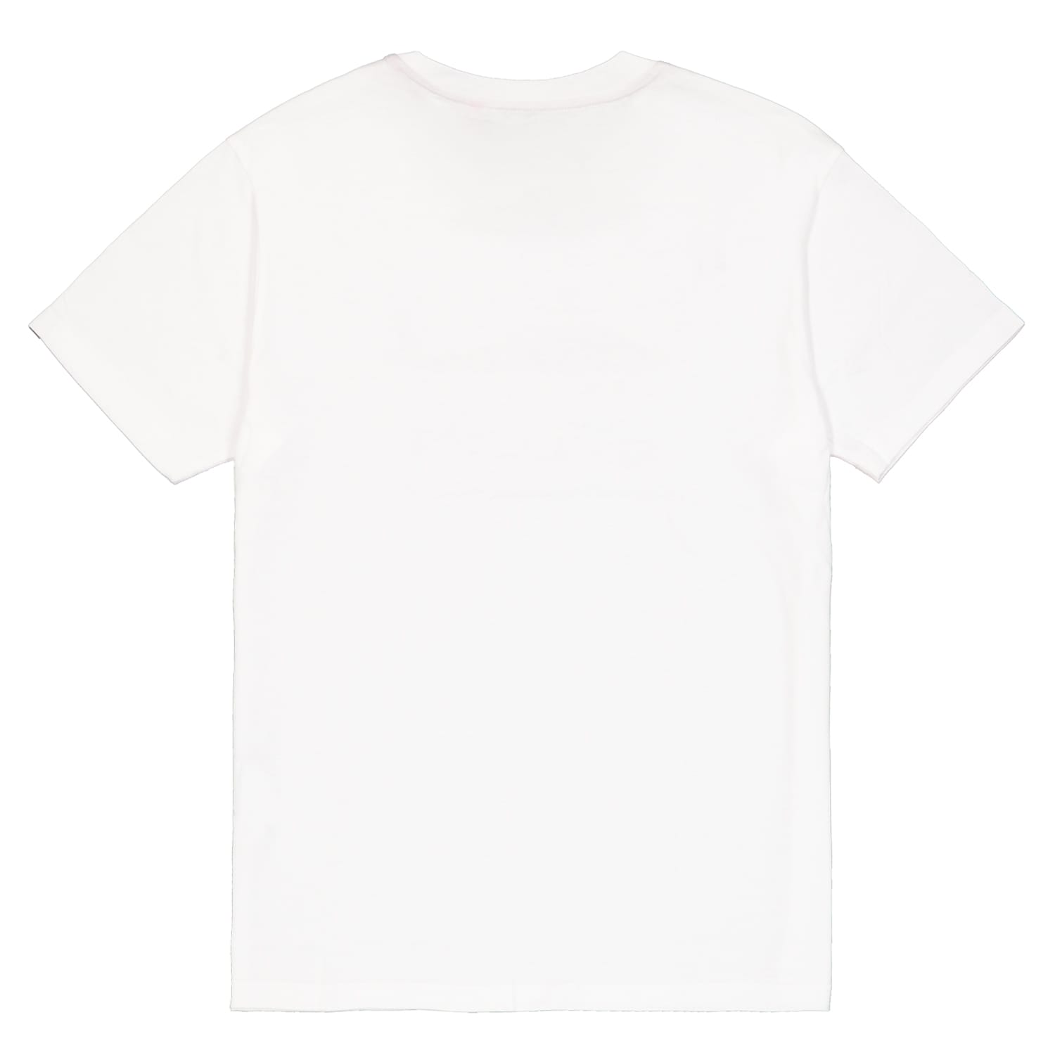 Koszulka T-shirt Alpha Industries Army Property - White