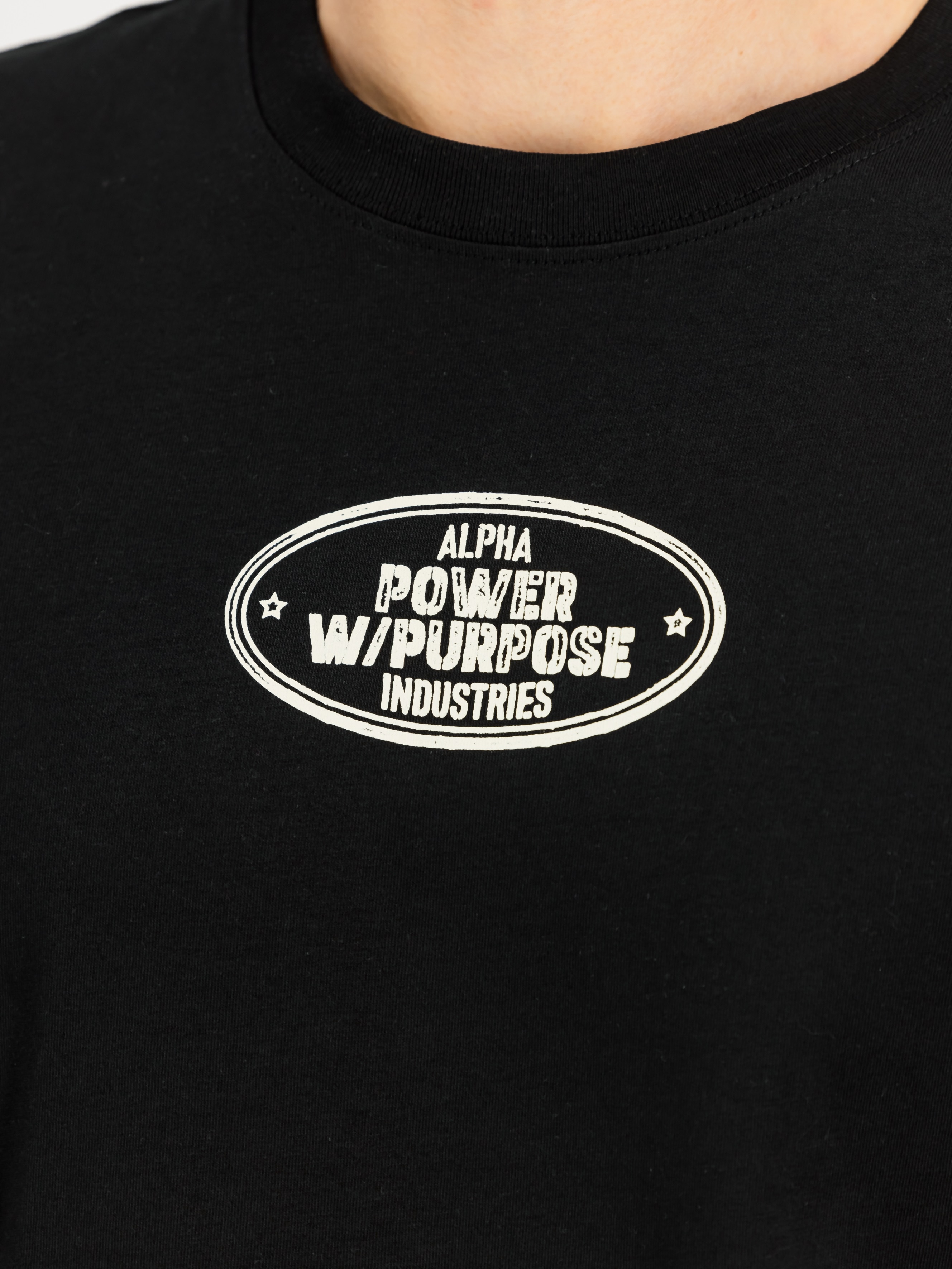 Koszulka T-shirt Alpha Industries Noseart Backprint - Black