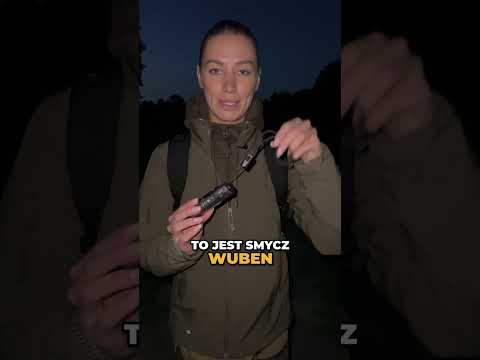 Smycz Wuben X5 Charge Lanyard z kablem USB-C