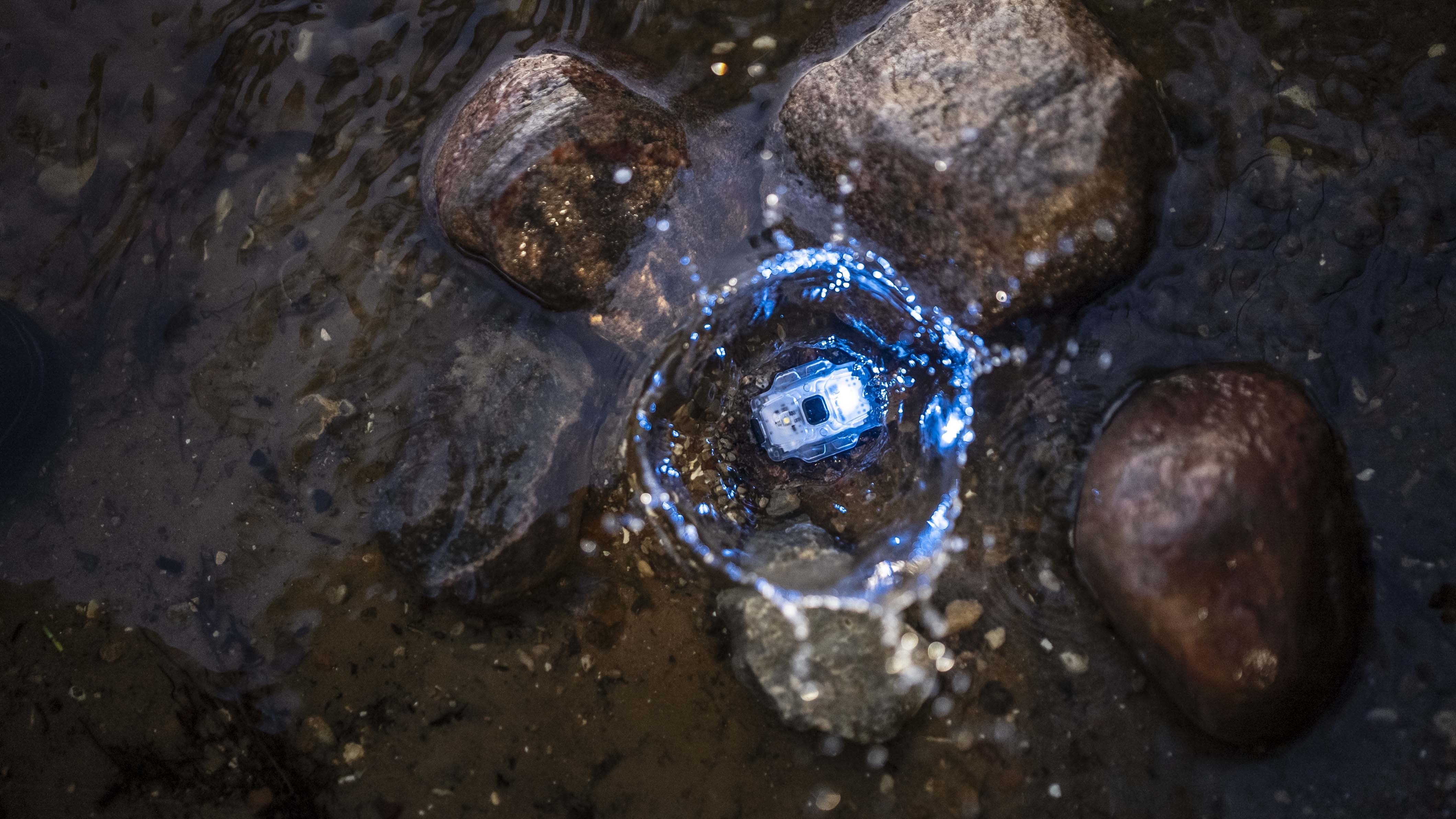 Armytek Crystal Pro UV Blue Flashlight 200 Lumens
