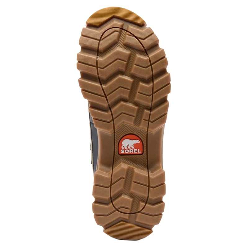 Жіночі черевики Sorel Torino V WP - Major/Black