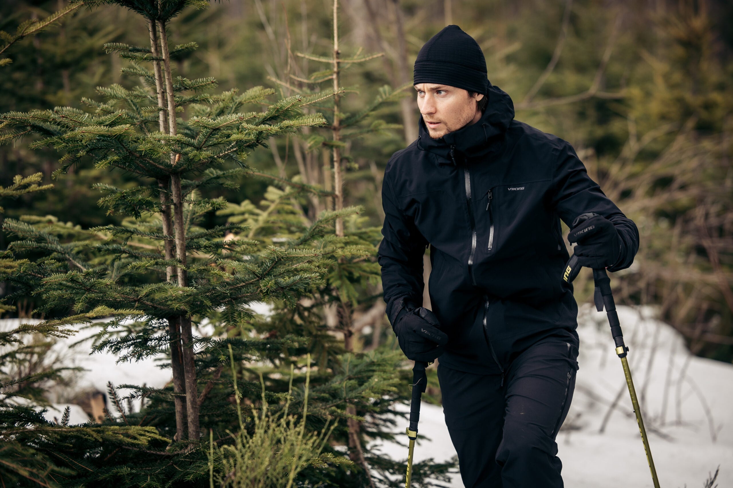 Kije trekkingowe Viking Terve 2.0 Trekking - Zielone