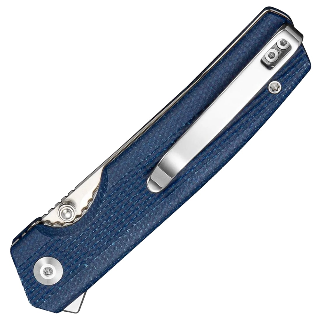 Sencut Stria Folding Knife - Blue