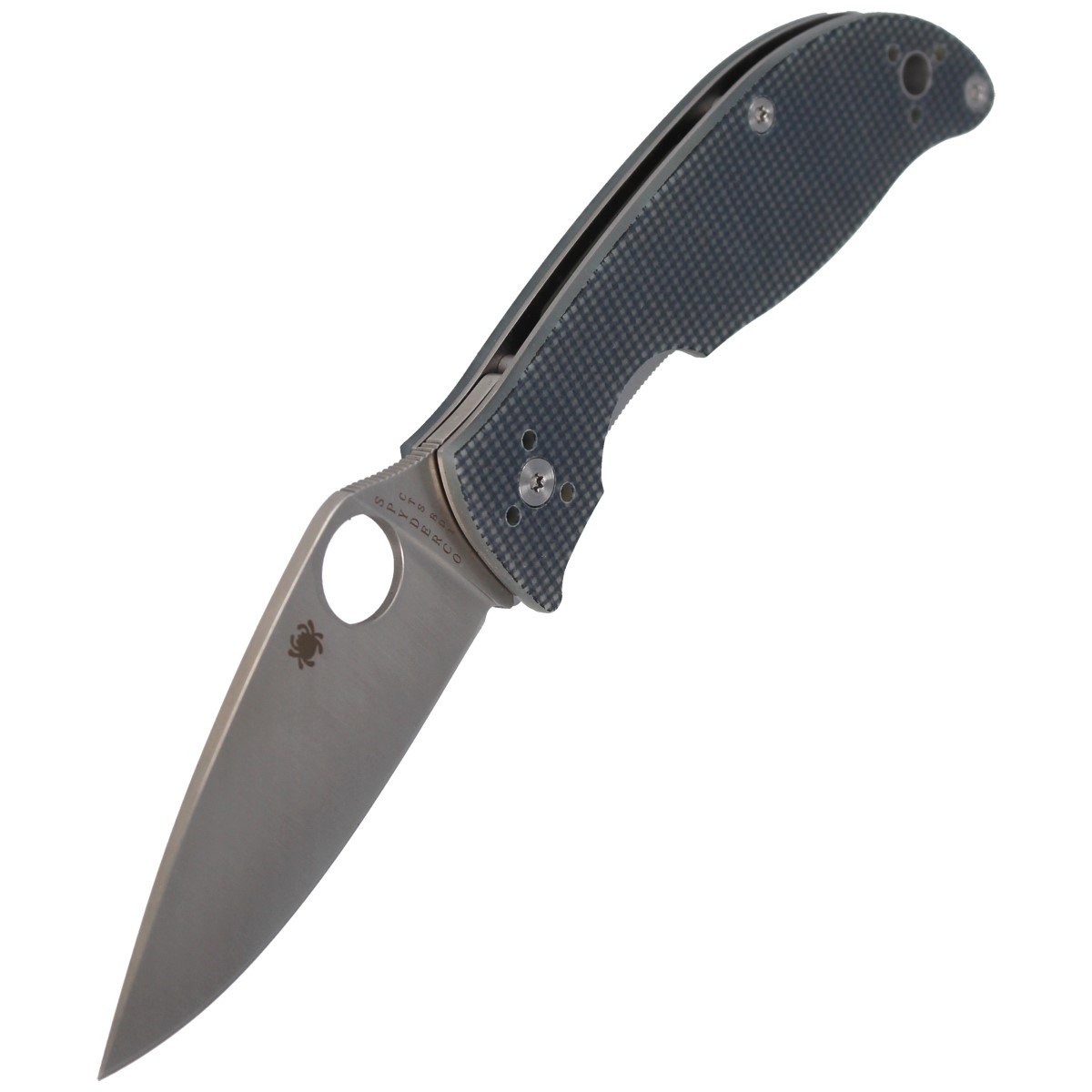 Spyderco Polestar G10 CTS BD1 Folding Knife - Grey