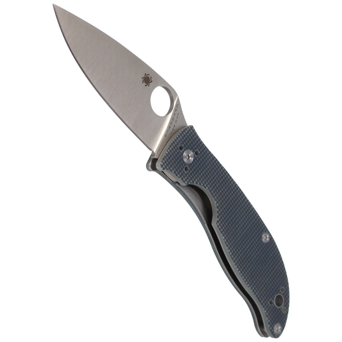 Spyderco Polestar G10 CTS BD1 Folding Knife - Grey
