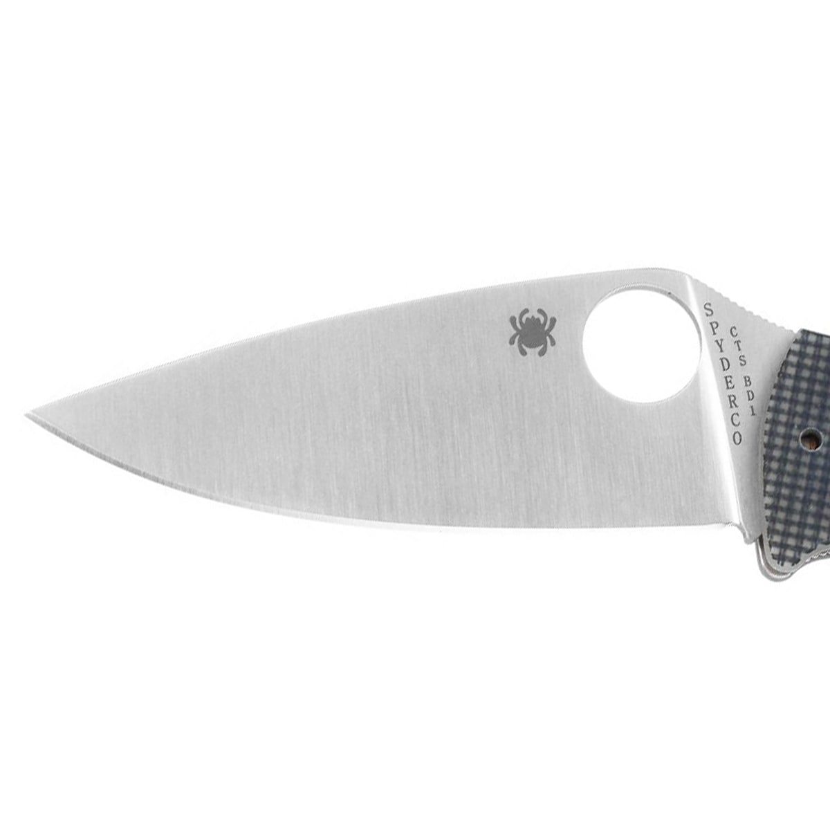 Spyderco Polestar G10 CTS BD1 Folding Knife - Grey