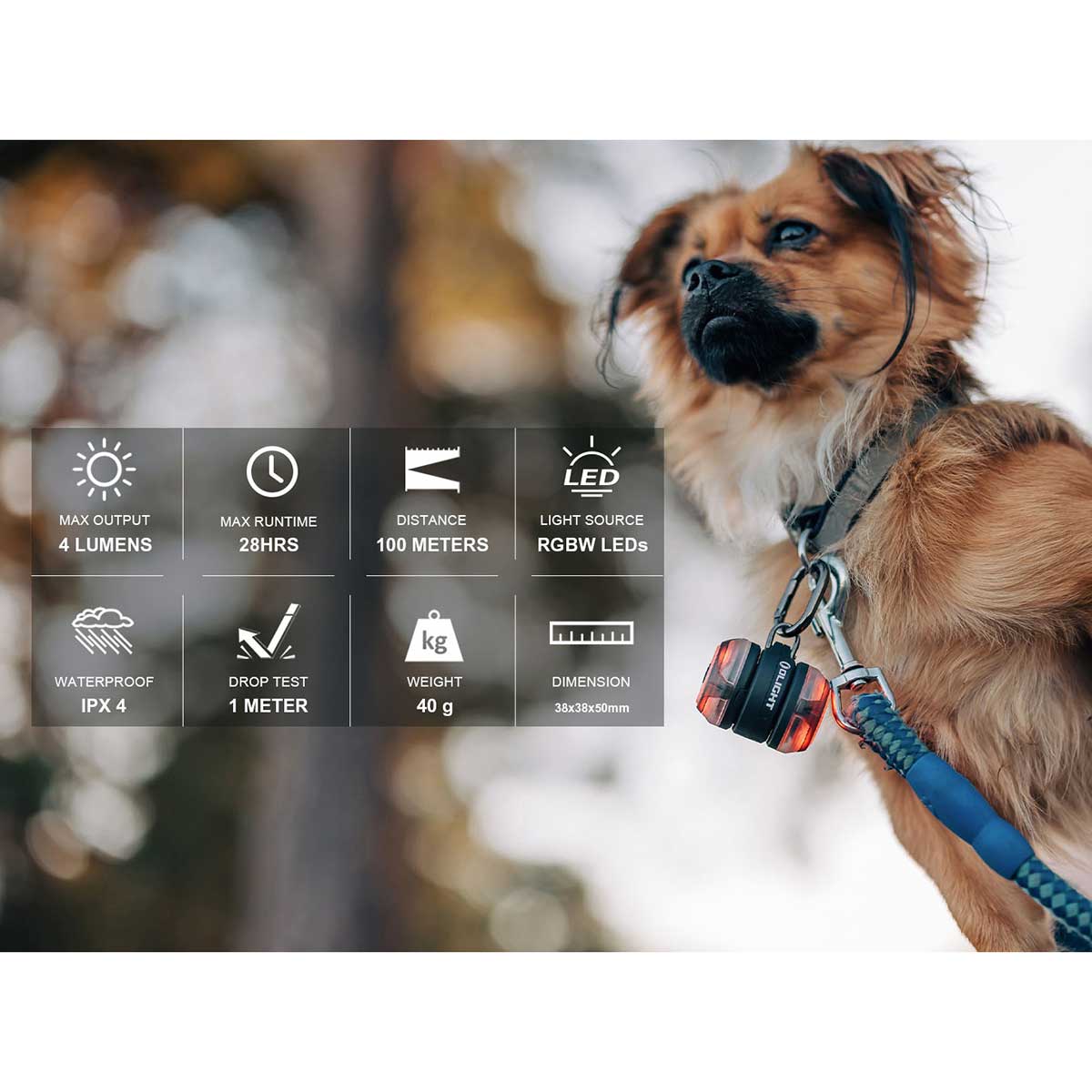 Lampka sygnalizacyjna Olight Gober Kit Black