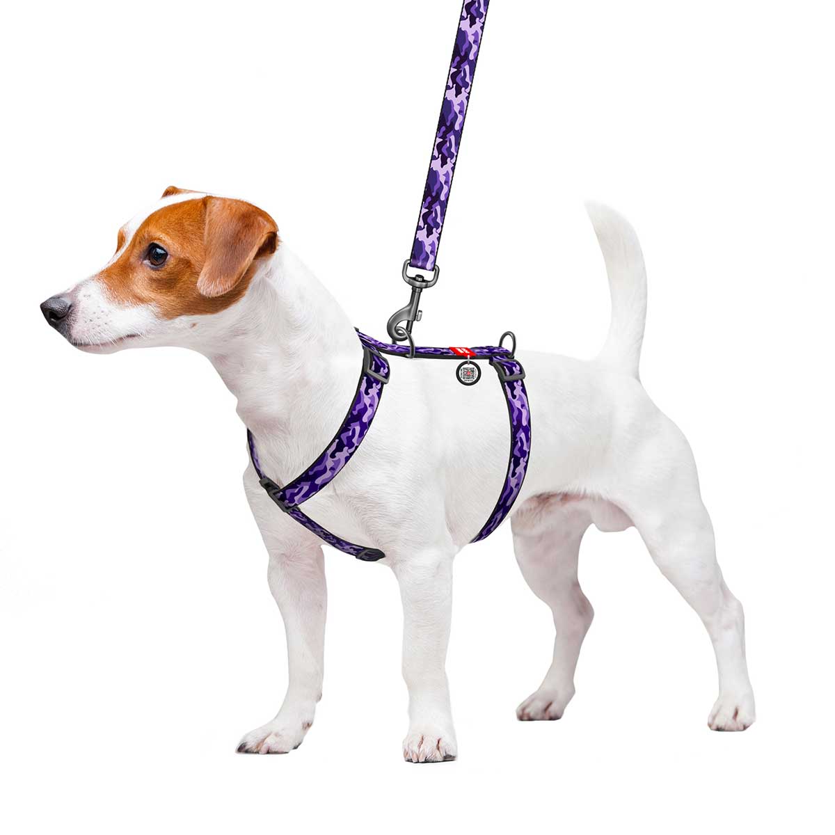 Шлейка для собак WauDog 20 мм - Purple Camo 