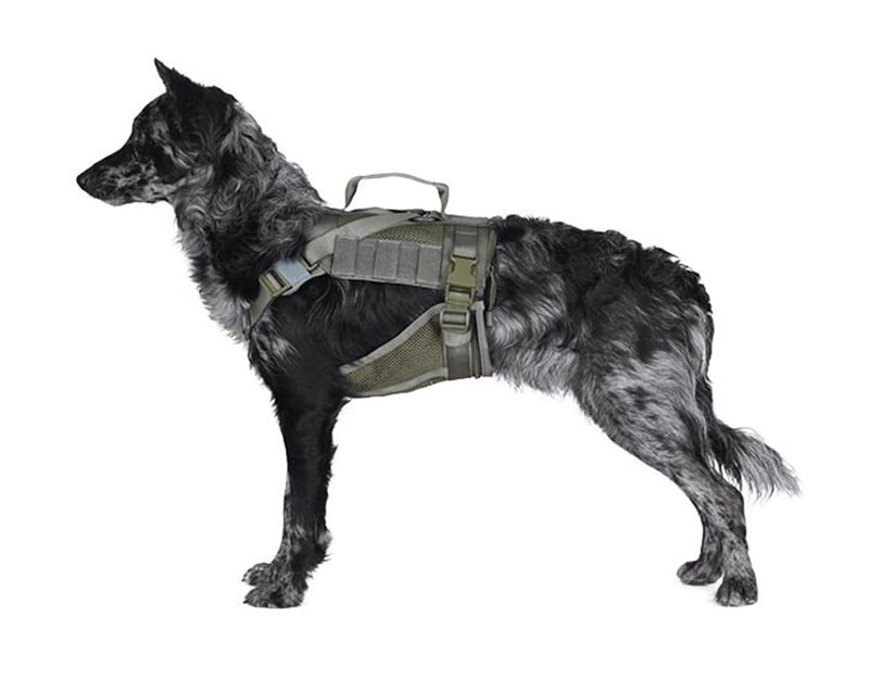 Тактична шлейка Primal Gear для собак - рейнджер зелена