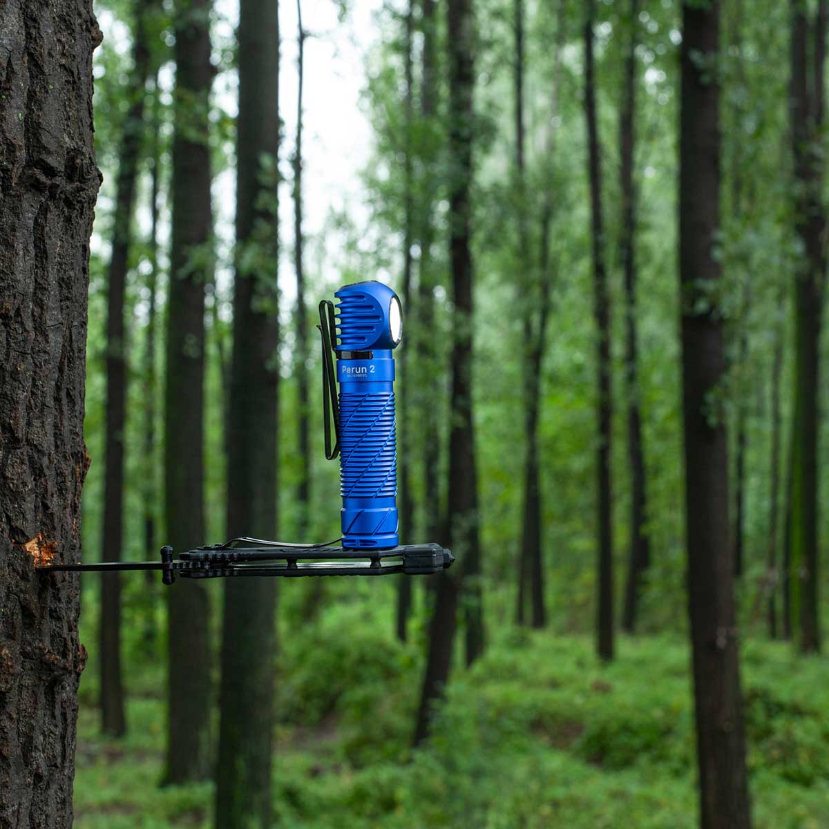Latarka czołowa i kątowa Olight Perun 2 Cool White Kit Blue z opaską - 2500 lumenów