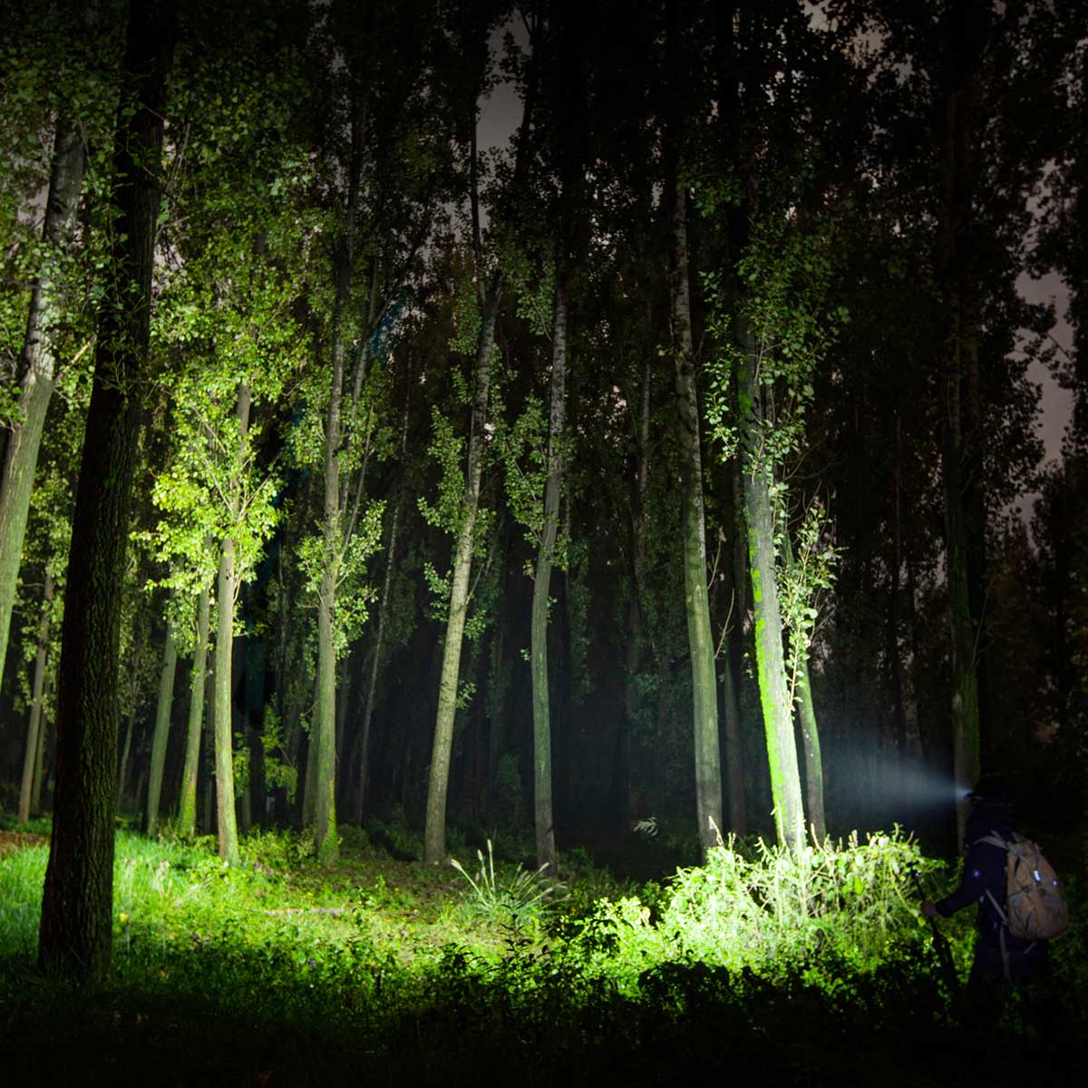 Latarka czołowa i kątowa Olight Perun 2 Cool White Kit Blue z opaską - 2500 lumenów