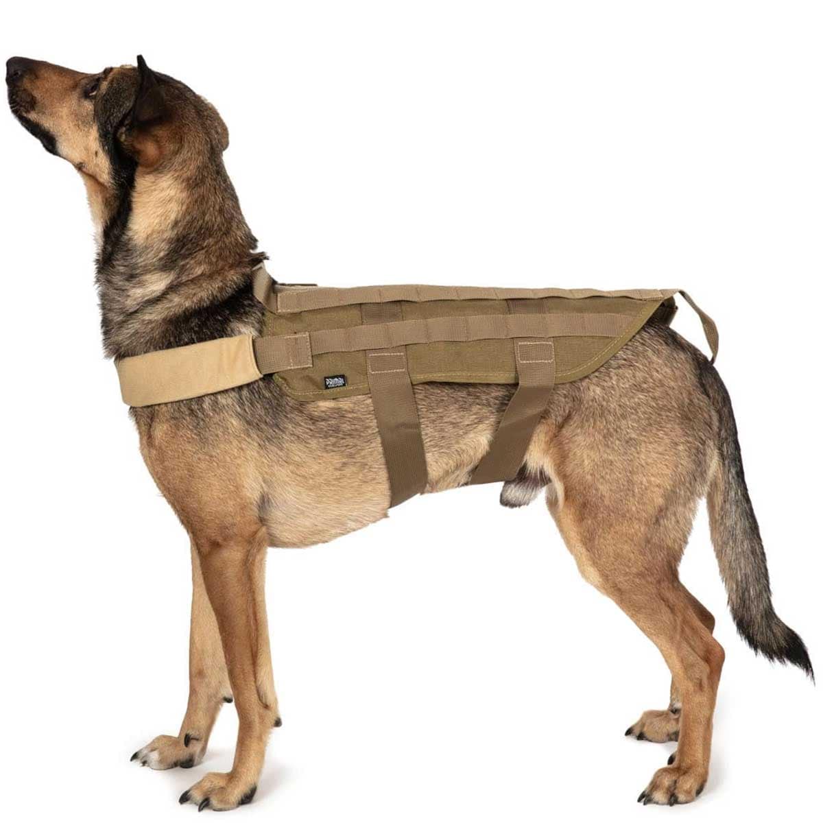 Kamizelka taktyczna Primal Gear dla psa - Tan