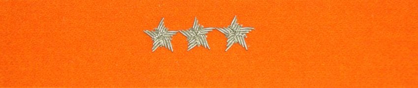 Otok pomarańczowy do rogatywki Wojska Polskiego - chorąży sztabowy, porucznik, pułkownik