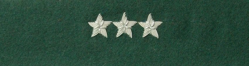 Otok zielony do rogatywki Wojska Polskiego - chorąży sztabowy, porucznik, pułkownik 