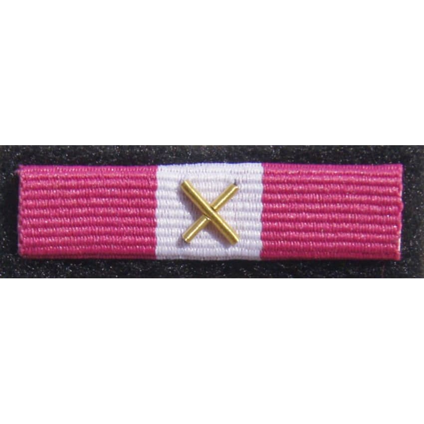 Орденська планка - Бронзова Медаль 
