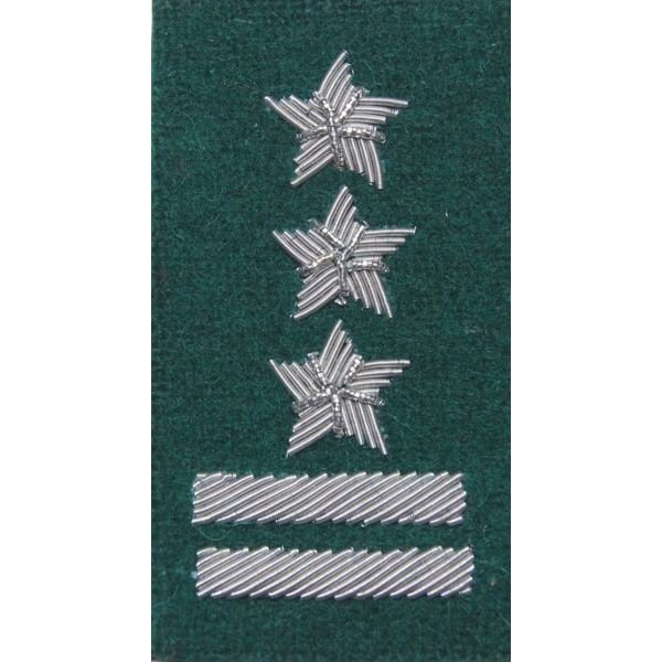 Stopień na beret WP (zielony / haft bajorkiem) - pułkownik