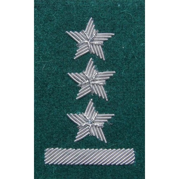 Stopień na beret WP (zielony / haft bajorkiem) - porucznik