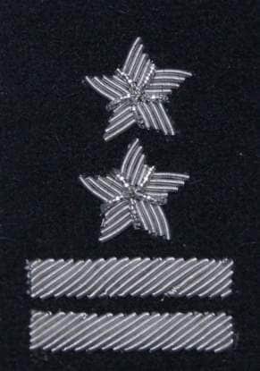 Військове звання на берет Війська Польського Чорний / вишивка канителлю – підполковник